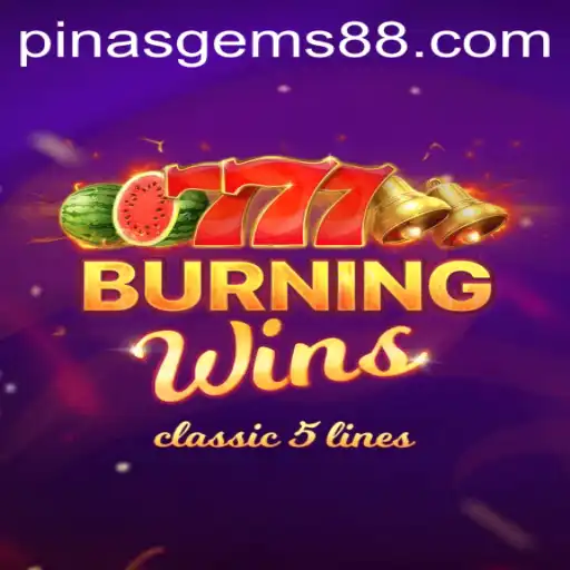 BurningWins: Exploring the Excitement of Pinasgems